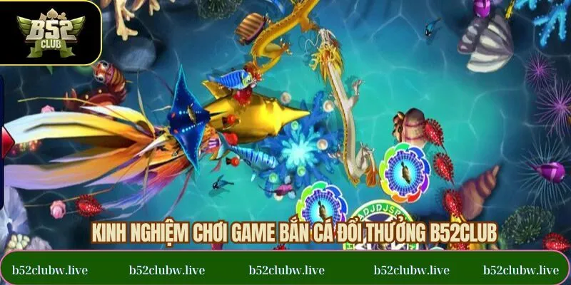 Kinh nghiệm hữu ích khi bắn cá đổi thưởng thắng lớn B52CLUB