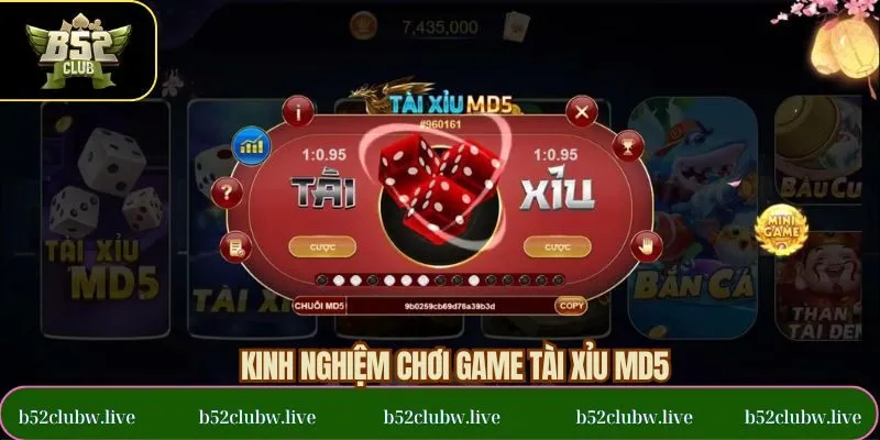 Bật mí những mẹo chơi tài xỉu MD5 hay được nhiều người áp dụng